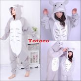 Kigurumi de Totoro ~